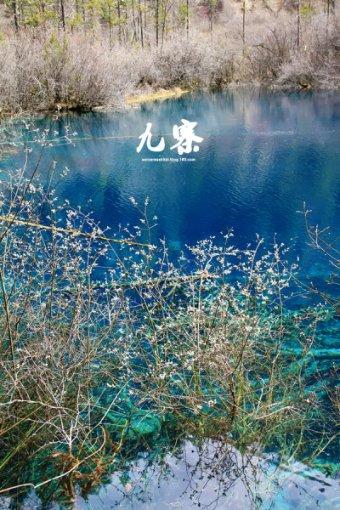 翻滚吧大脚车