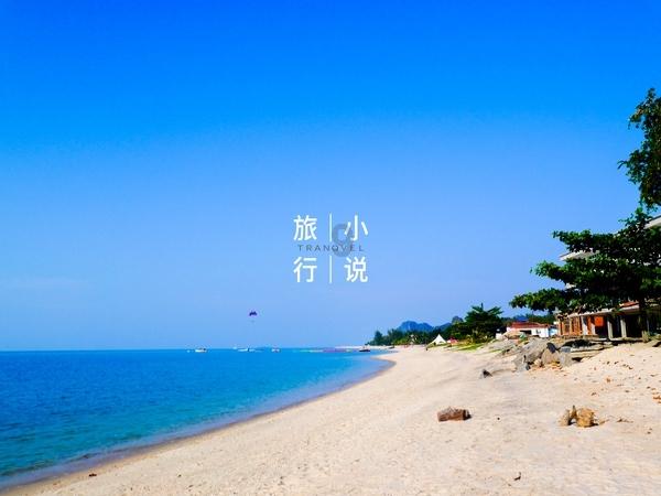 蛇蛇足球赛